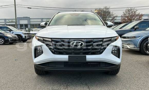Buy Used Hyundai Tucson White Car in Bandarmu'ayo in Bari Buy Used Hyundai Tucson White Car in Bandarmu'ayo in Bari