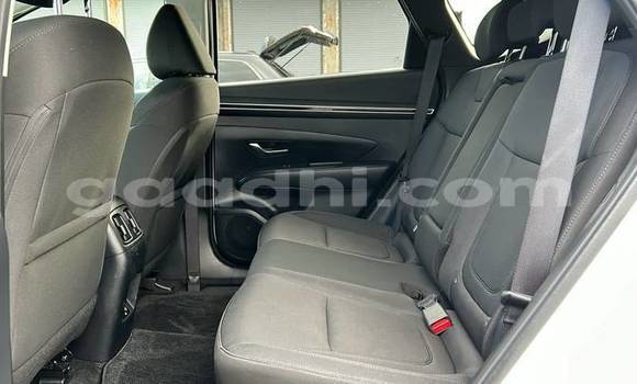 Buy Used Hyundai Tucson White Car in Bandarmu'ayo in Bari Buy Used Hyundai Tucson White Car in Bandarmu'ayo in Bari