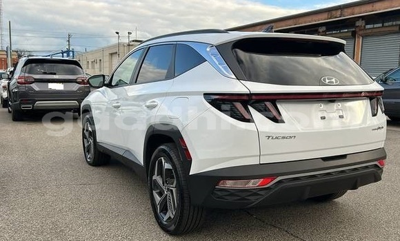 Buy Used Hyundai Tucson White Car in Bandarmu'ayo in Bari Buy Used Hyundai Tucson White Car in Bandarmu'ayo in Bari