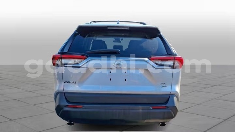 Big with watermark toyota rav4 bari bandarmu ayo 6018