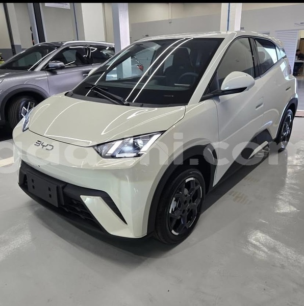 Big with watermark byd seagull bari bandarmu ayo 6020