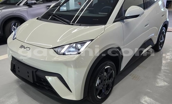 Buy Used BYD Seagull White Car in Bandarmu'ayo in Bari