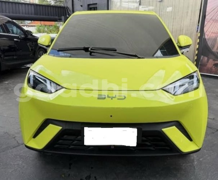 Big with watermark byd seagull bari bandarmu ayo 6020