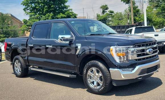 Buy Used Ford F–150 Black Car in Bandarmu'ayo in Bari