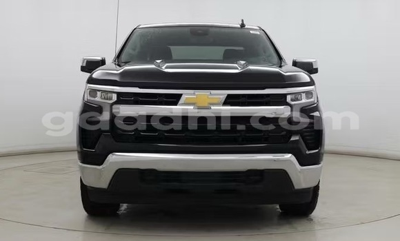 Buy Used Chevrolet Silverado Black Car in Bandarmu'ayo in Bari Buy Used Chevrolet Silverado Black Car in Bandarmu'ayo in Bari