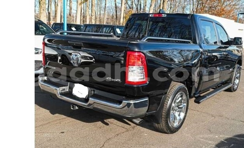 Big with watermark dodge ram bari bandarmu ayo 6025