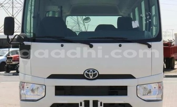 Buy Used Toyota Coaster White Car in Bandarmu'ayo in Bari