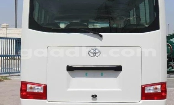 اشتري مستعمل Toyota Coaster أبيض سيارة في Bandarmu'ayo في باري اشتري مستعمل Toyota Coaster أبيض سيارة في Bandarmu'ayo في باري