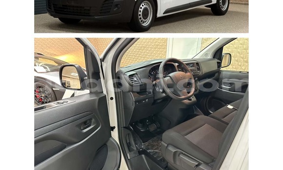 اشتري مستعمل Peugeot Expert أبيض سيارة في Import - Dubai في الصومال اشتري مستعمل Peugeot Expert أبيض سيارة في Import - Dubai في الصومال