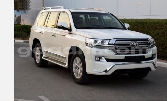 Buy Used Toyota Land Cruiser White Car in Bandarmu'ayo in Bari