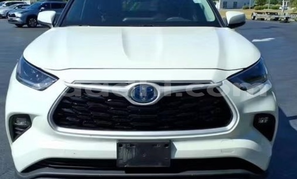 Buy Used Toyota Highlander White Car in Bandarmu'ayo in Bari