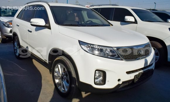 Imported Kia Sorento White Makiinaa iti Import - Dubai keessatti Somalia keessatti Imported Kia Sorento White Makiinaa iti Import - Dubai keessatti Somalia keessatti