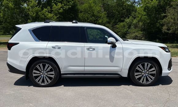 ይግዙ ያገለገለ Lexus LX ነጭ መኪና በ ሞቃዲሾ በ ሶማሊያ ይግዙ ያገለገለ Lexus LX ነጭ መኪና በ ሞቃዲሾ በ ሶማሊያ