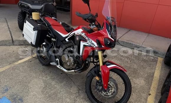 اشتري مستعمل Honda CRF أحمر دراجة نارية في مقديشو في الصومال اشتري مستعمل Honda CRF أحمر دراجة نارية في مقديشو في الصومال
