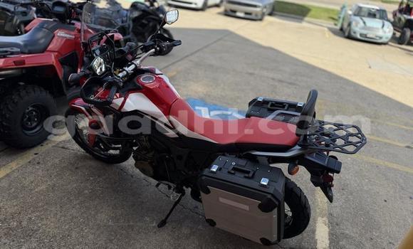 اشتري مستعمل Honda CRF أحمر دراجة نارية في مقديشو في الصومال اشتري مستعمل Honda CRF أحمر دراجة نارية في مقديشو في الصومال