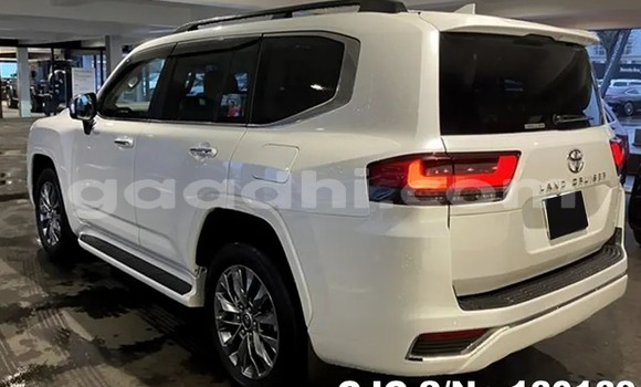 ይግዙ ያገለገለ Toyota Land Cruiser ነጭ መኪና በ ሞቃዲሾ በ ሶማሊያ ይግዙ ያገለገለ Toyota Land Cruiser ነጭ መኪና በ ሞቃዲሾ በ ሶማሊያ