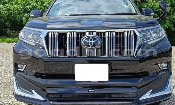 Buy Used Toyota Land Cruiser Prado White Car in Bandarmu'ayo in Bari