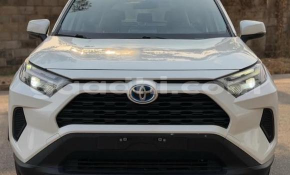 Buy Used Toyota RAV4 White Car in Bandarmu'ayo in Bari