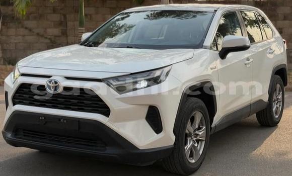 Oofamaa Toyota RAV4 White Makiinaa iti Bandarmu'ayo keessatti Bari keessatti Oofamaa Toyota RAV4 White Makiinaa iti Bandarmu'ayo keessatti Bari keessatti