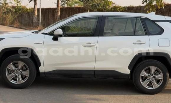 Oofamaa Toyota RAV4 White Makiinaa iti Bandarmu'ayo keessatti Bari keessatti Oofamaa Toyota RAV4 White Makiinaa iti Bandarmu'ayo keessatti Bari keessatti