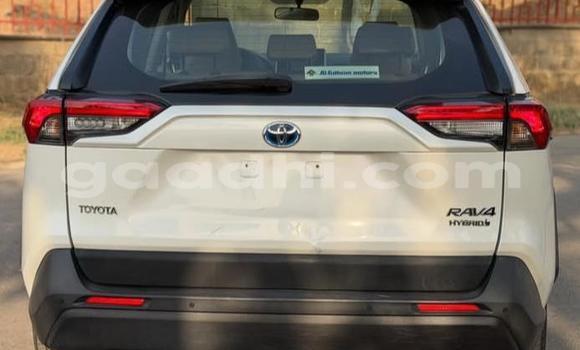 Oofamaa Toyota RAV4 White Makiinaa iti Bandarmu'ayo keessatti Bari keessatti Oofamaa Toyota RAV4 White Makiinaa iti Bandarmu'ayo keessatti Bari keessatti