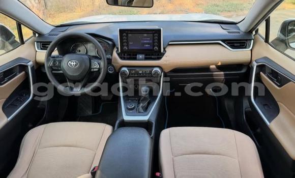 Oofamaa Toyota RAV4 White Makiinaa iti Bandarmu'ayo keessatti Bari keessatti Oofamaa Toyota RAV4 White Makiinaa iti Bandarmu'ayo keessatti Bari keessatti