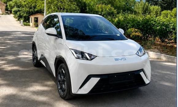 Buy Used BYD Seagull Other Car in Bandarmu'ayo in Bari Buy Used BYD Seagull Other Car in Bandarmu'ayo in Bari