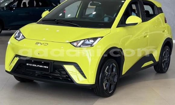 Buy Used BYD Seagull Other Car in Bandarmu'ayo in Bari Buy Used BYD Seagull Other Car in Bandarmu'ayo in Bari