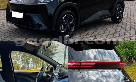 Buy Used BYD Seagull Other Car in Bandarmu'ayo in Bari Buy Used BYD Seagull Other Car in Bandarmu'ayo in Bari