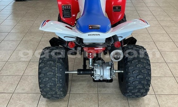 ይግዙ አዲስ Honda TRX ሌላ ሞተር በ ባንድሩሞኢዮ በ ባሪ ይግዙ አዲስ Honda TRX ሌላ ሞተር በ ባንድሩሞኢዮ በ ባሪ