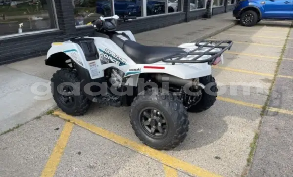 ይግዙ አዲስ Kawasaki Brute Force ነጭ ሞተር በ 'ኤም በ Galgudug ይግዙ አዲስ Kawasaki Brute Force ነጭ ሞተር በ 'ኤም በ Galgudug