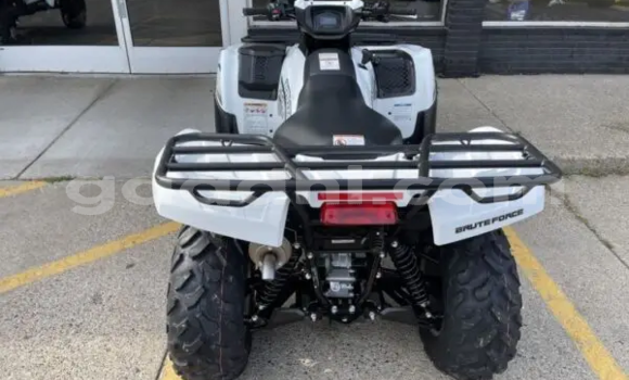 ይግዙ አዲስ Kawasaki Brute Force ነጭ ሞተር በ 'ኤም በ Galgudug ይግዙ አዲስ Kawasaki Brute Force ነጭ ሞተር በ 'ኤም በ Galgudug