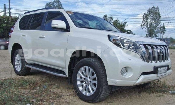 Buy Used Toyota Land Cruiser Prado White Car in Hargeysa in Somaliland