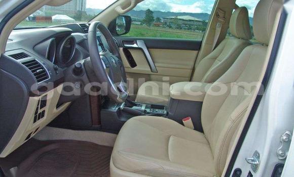 Buy Used Toyota Land Cruiser Prado White Car in Hargeysa in Somaliland Buy Used Toyota Land Cruiser Prado White Car in Hargeysa in Somaliland