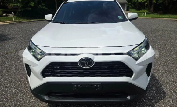Buy Used Toyota RAV4 White Car in Bandarbeyla in Bari