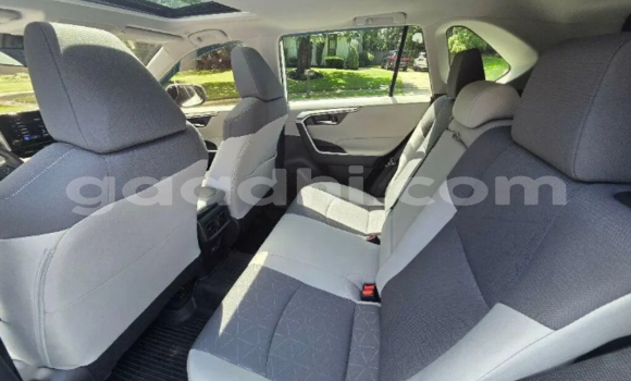 ይግዙ ያገለገለ Toyota RAV4 ነጭ መኪና በ ባንዲርባቤላ በ ባሪ ይግዙ ያገለገለ Toyota RAV4 ነጭ መኪና በ ባንዲርባቤላ በ ባሪ