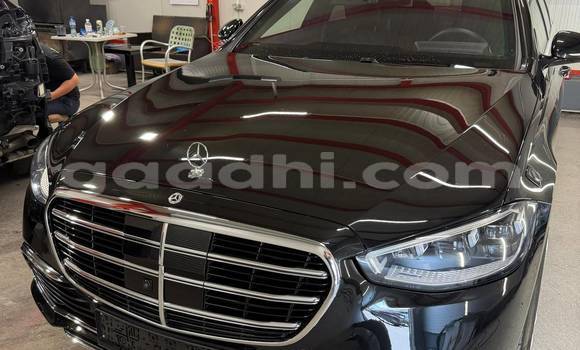 Buy Used Mercedes-Benz S-klasse Black Car in Qandala in Bari Buy Used Mercedes-Benz S-klasse Black Car in Qandala in Bari