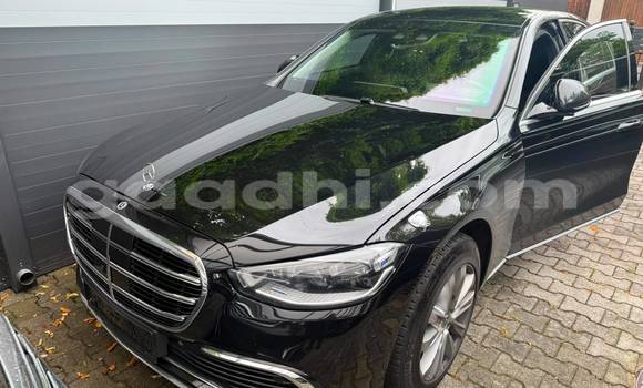 Buy Used Mercedes-Benz S-klasse Black Car in Qandala in Bari Buy Used Mercedes-Benz S-klasse Black Car in Qandala in Bari