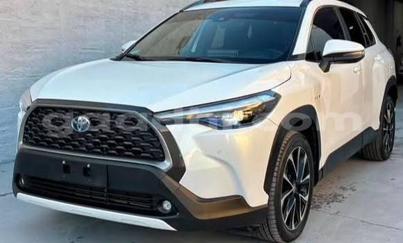 Buy Used Toyota Corolla Cross White Car in Bandarmu'ayo in Bari