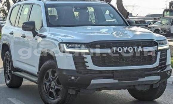 Buy Used Toyota Land Cruiser White Car in Bandarmu'ayo in Bari