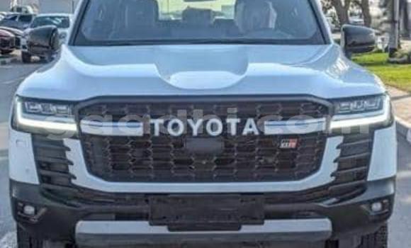 Buy Used Toyota Land Cruiser White Car in Bandarmu'ayo in Bari Buy Used Toyota Land Cruiser White Car in Bandarmu'ayo in Bari