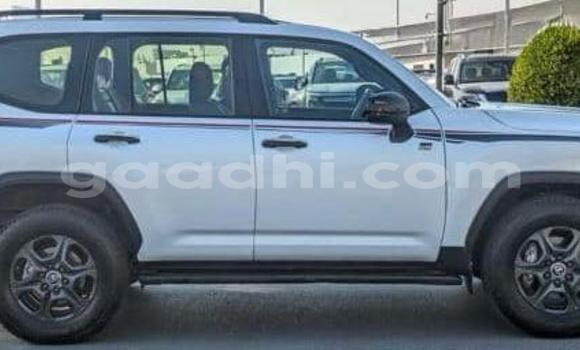 Buy Used Toyota Land Cruiser White Car in Bandarmu'ayo in Bari Buy Used Toyota Land Cruiser White Car in Bandarmu'ayo in Bari