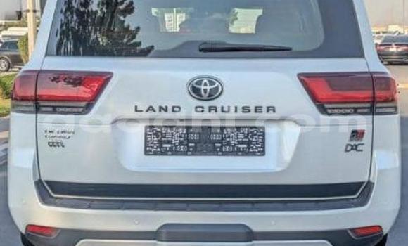 Buy Used Toyota Land Cruiser White Car in Bandarmu'ayo in Bari Buy Used Toyota Land Cruiser White Car in Bandarmu'ayo in Bari