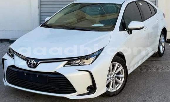 Buy Used Toyota Corolla White Car in Bandarmu'ayo in Bari