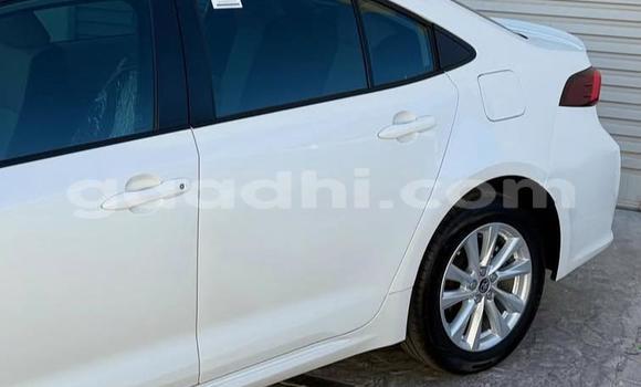 Buy Used Toyota Corolla White Car in Bandarmu'ayo in Bari Buy Used Toyota Corolla White Car in Bandarmu'ayo in Bari