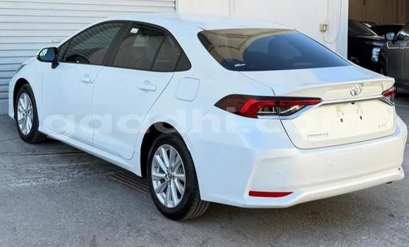 Buy Used Toyota Corolla White Car in Bandarmu'ayo in Bari Buy Used Toyota Corolla White Car in Bandarmu'ayo in Bari