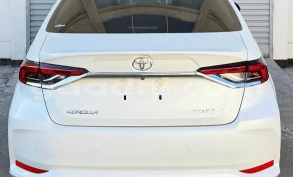 Buy Used Toyota Corolla White Car in Bandarmu'ayo in Bari Buy Used Toyota Corolla White Car in Bandarmu'ayo in Bari