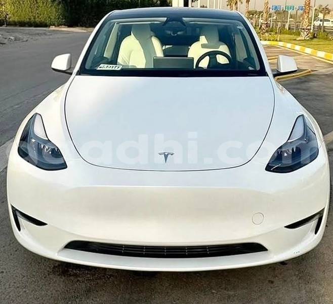 Big with watermark tesla model x bari bandarmu ayo 6234
