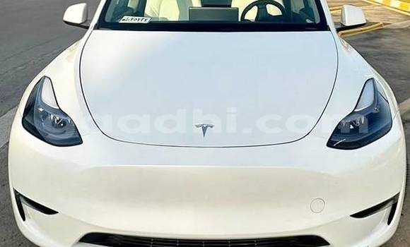 Buy Used Tesla Model X White Car in Bandarmu'ayo in Bari