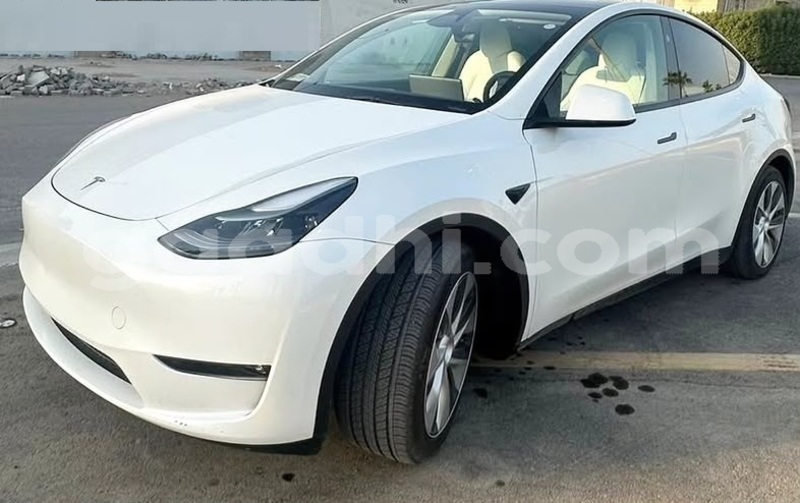 Big with watermark tesla model x bari bandarmu ayo 6234